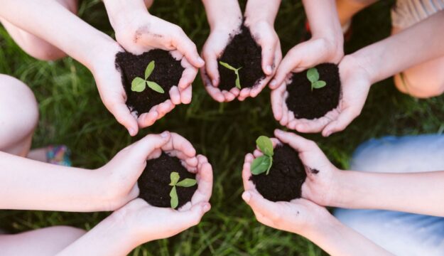 Agricoltura sociale in Italia, al via il bando da 140.000 euro per i progetti pi&ugrave; innovativi