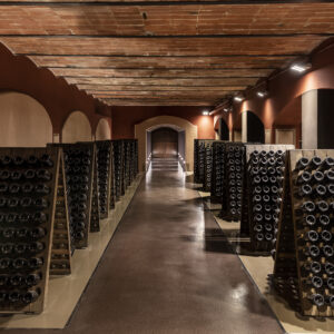 Banfi vittima di un furto enoico: rubate 3.000 bottiglie di Alta Langa Docg, nella cantina di Strevi