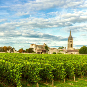 Vino, distillazione di crisi in Francia: 770.000 ettolitri la richiesta, da Bordeaux in primis