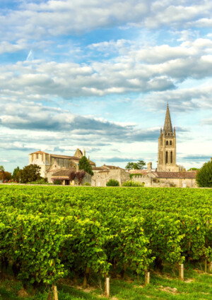 Vino, distillazione di crisi in Francia: 770.000 ettolitri la richiesta, da Bordeaux in primis