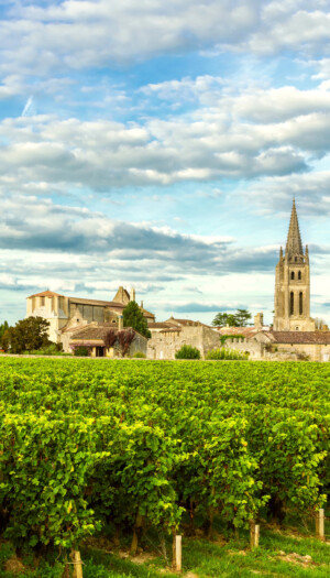 Vino, distillazione di crisi in Francia: 770.000 ettolitri la richiesta, da Bordeaux in primis