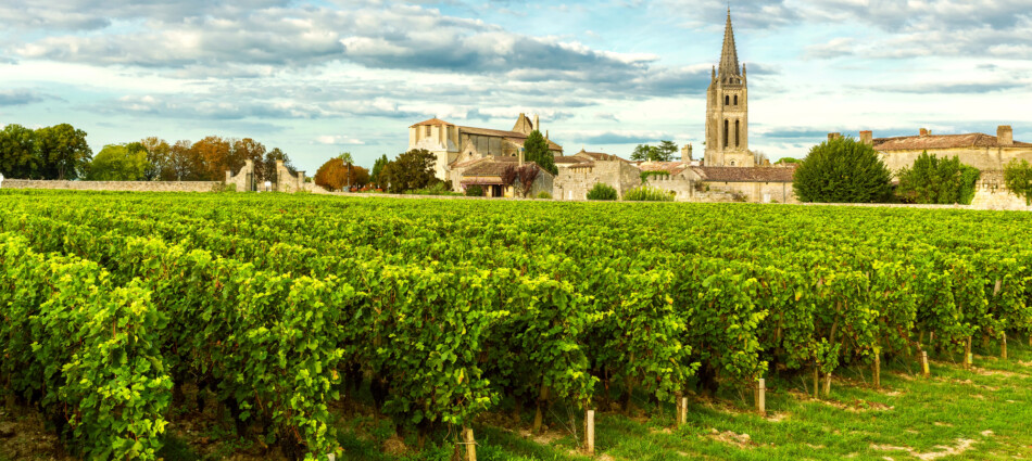 Vino, distillazione di crisi in Francia: 770.000 ettolitri la richiesta, da Bordeaux in primis