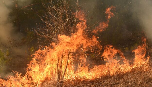 Incendi fuori controllo: oltre 66.000 ettari in fumo, triplicata la media ventennale