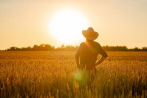 Weekend da bollino rosso? Sar&agrave; tutta l&rsquo;estate cos&igrave;, mettendo in emergenza continua l&rsquo;agricoltura