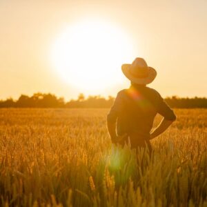 Weekend da bollino rosso? Sar&agrave; tutta l&rsquo;estate cos&igrave;, mettendo in emergenza continua l&rsquo;agricoltura