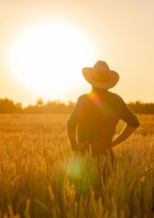 Weekend da bollino rosso? Sar&agrave; tutta l&rsquo;estate cos&igrave;, mettendo in emergenza continua l&rsquo;agricoltura