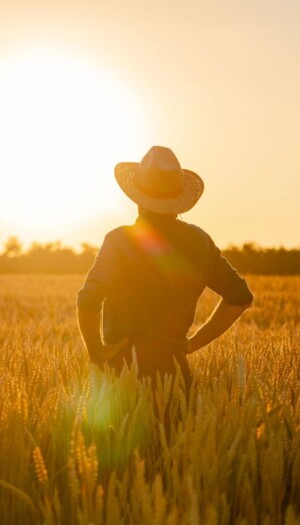 Weekend da bollino rosso? Sar&agrave; tutta l&rsquo;estate cos&igrave;, mettendo in emergenza continua l&rsquo;agricoltura