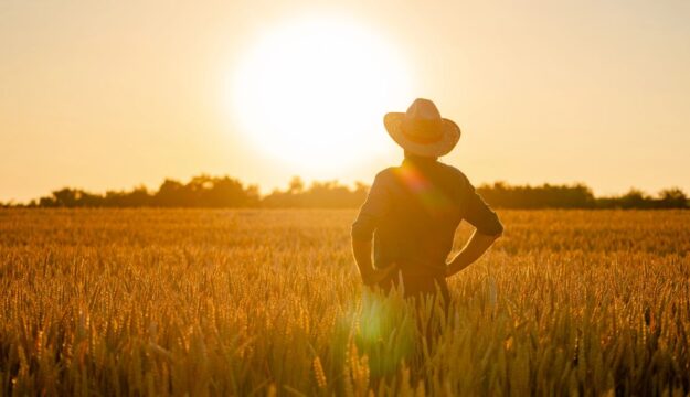 Weekend da bollino rosso? Sar&agrave; tutta l&rsquo;estate cos&igrave;, mettendo in emergenza continua l&rsquo;agricoltura