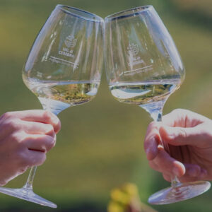 M&uuml;ller Thurgau: quello di Cavit, dal Trentino, &egrave; il migliore d&rsquo;Italia