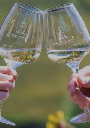 M&uuml;ller Thurgau: quello di Cavit, dal Trentino, &egrave; il migliore d&rsquo;Italia