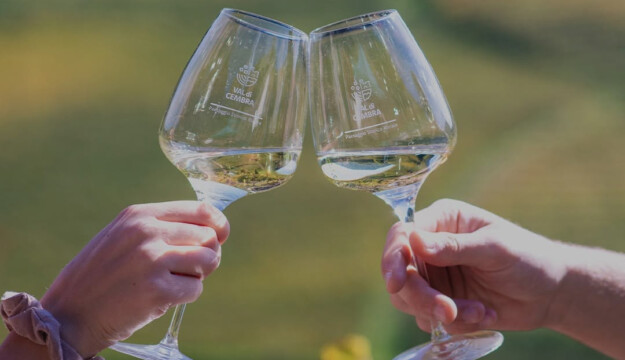 M&uuml;ller Thurgau: quello di Cavit, dal Trentino, &egrave; il migliore d&rsquo;Italia