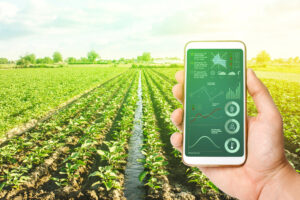Contro il caldo estremo avanza la digitalizzazione dei campi: crescono gli investimenti &ldquo;tech&rdquo;