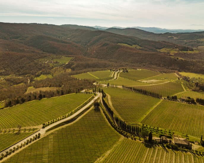 Castello di Albola, la tenuta della Zonin 1821 più bella ed una delle più belle del Chianti Classico