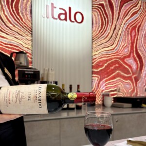 I vini del &ldquo;Genio italiano&rdquo; in treno: la partnership tra Leonardo da Vinci Spa (Caviro) e Italo