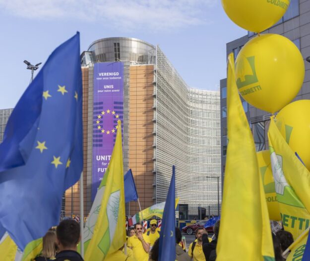 Coldiretti e Filiera Italia scrivono alla Commissione Ue: &ldquo;niente tagli ai fondi promozione&rdquo;