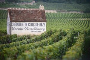 Louis Roederer investe, per la prima volta, in Borgogna, con il gioiello Domaine Pierre Damoy