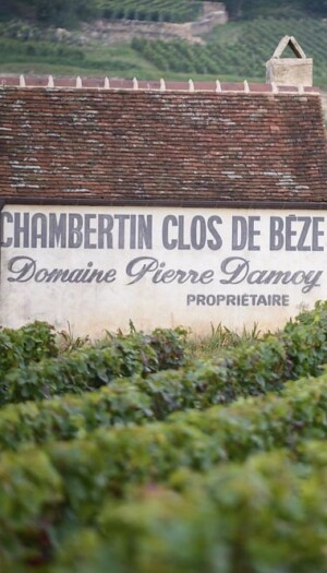 Louis Roederer investe, per la prima volta, in Borgogna, con il gioiello Domaine Pierre Damoy