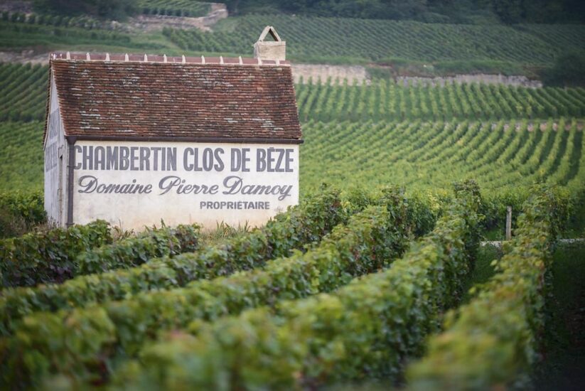 Louis Roederer in Borgogna, con Domaine Pierre Damoy