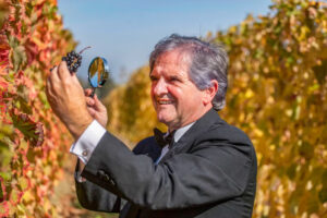 Nebbiolo: non solo base di eccellenza enologica, ma anche uva alleata di salute e medicina