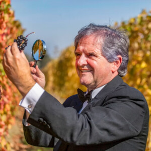 Nebbiolo: non solo base di eccellenza enologica, ma anche uva alleata di salute e medicina