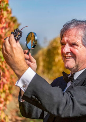 Nebbiolo: non solo base di eccellenza enologica, ma anche uva alleata di salute e medicina
