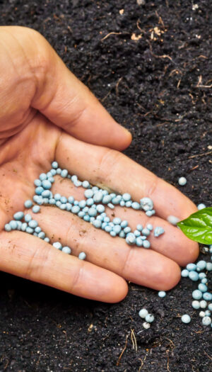 Caro fertilizzanti, Ministro Lollobrigida: &ldquo;dall&rsquo;Ue un passo concreto a sostegno degli agricoltori&rdquo;