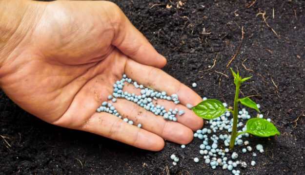 Caro fertilizzanti, Ministro Lollobrigida: &ldquo;dall&rsquo;Ue un passo concreto a sostegno degli agricoltori&rdquo;