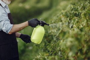 Caro-fertilizzanti, via libera definitivo dell&rsquo;Ue alle misure straordinarie per gli agricoltori