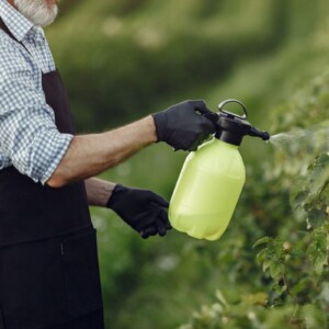 Caro-fertilizzanti, via libera definitivo dell&rsquo;Ue alle misure straordinarie per gli agricoltori