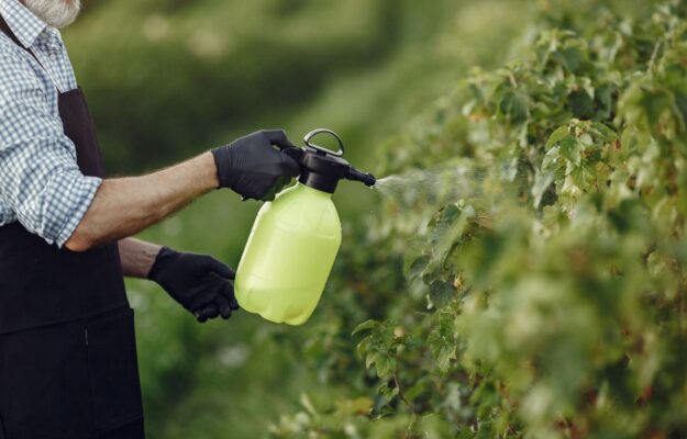 AGRICOLTORI, AIUTI, CARO PREZZI, CONSIGLIO UE, FERTILIZZANTI, Guerra, LIQUIDITA, MEDIO ORIENTE, PAC, UE, Non Solo Vino