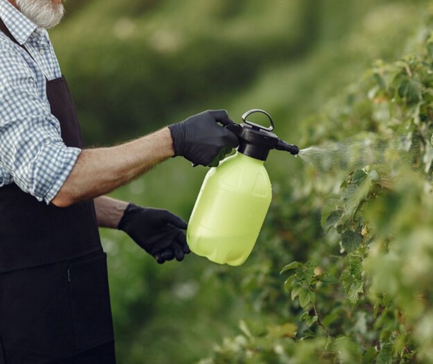 Caro-fertilizzanti, via libera definitivo dell&rsquo;Ue alle misure straordinarie per gli agricoltori