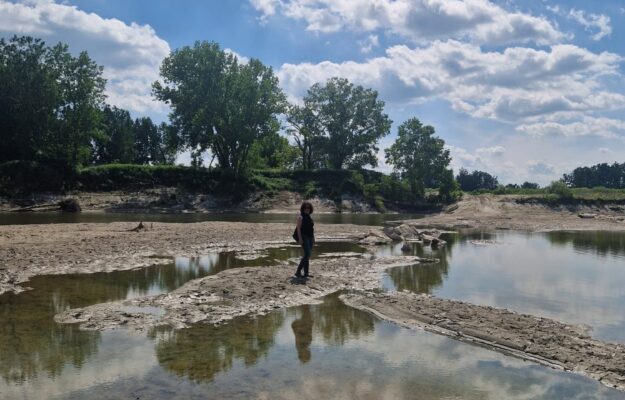 ACQUA, AGRICOLTURA, AGROECOLOGIA, BIODIVERSITÀ, CALDO, CAMBIAMENTO CLIMATICO, Confagricoltura, EMERGENZA IDRICA, GESTIONE IDRICA, INVASI, IRRIGAZIONE, POLITICA DELL’ACQUA, REGIONE PIEMONTE, SICCITA', SLOW FOOD, Non Solo Vino
