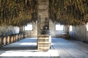 &ldquo;Unexpected Italy&rdquo;: centinaia di agricoltori, artigiani e chef riscrivono la mappa del turismo