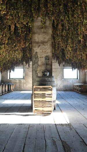 &ldquo;Unexpected Italy&rdquo;: centinaia di agricoltori, artigiani e chef riscrivono la mappa del turismo