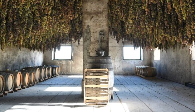 &ldquo;Unexpected Italy&rdquo;: centinaia di agricoltori, artigiani e chef riscrivono la mappa del turismo