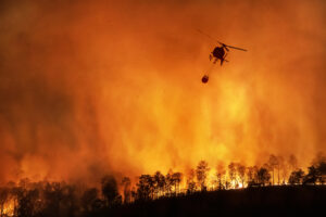 Slow Food Italia, &ldquo;gli incendi conseguenza dell&rsquo;abbandono delle aree interne del nostro Paese&rdquo;