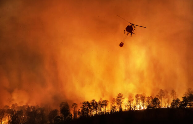 INCENDI, SLOW FOOD ITALIA, Non Solo Vino