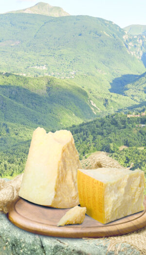 Rimettere al centro le &ldquo;Terre Alte&rdquo;: l&rsquo;impegno di Slow Food e Parmigiano Reggiano