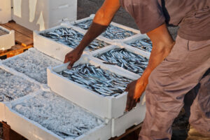 Mare Adriatico, scatta il fermo pesca dal 31 luglio: &ldquo;ma non mancher&agrave; il pesce italiano a tavola&rdquo;