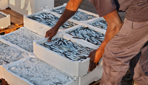 Mare Adriatico, scatta il fermo pesca dal 31 luglio: &ldquo;ma non mancher&agrave; il pesce italiano a tavola&rdquo;