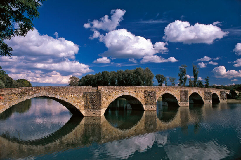 Il Consorzio Valdarno di Sopra festeggia 15 anni di Doc su Ponte Buriano sostenendo il Meyer di Firenze