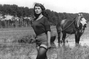 &ldquo;Riso amaro&rdquo;: con la crisi in atto, gli agricoltori italiani potrebbero abbandonare le coltivazioni