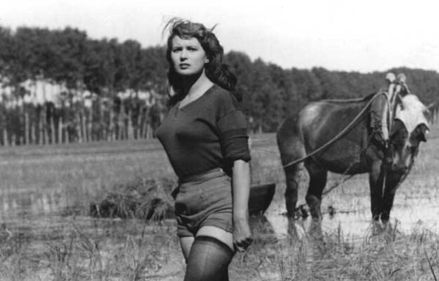 Confagricoltura, IMPORTAZIONI, MADE IN ITALY, MINISTERO DELL'AGRICOLTURA, PREZZI, REDDITIVITÀ, RISO, Non Solo Vino