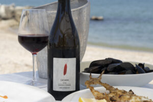 Innovare guardando al passato: la Rimini Doc punta sul &ldquo;Sangiovese brinato&rdquo;