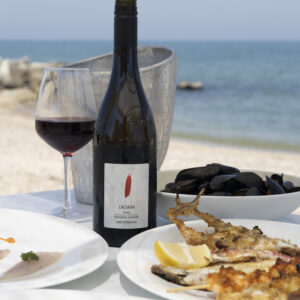 Innovare guardando al passato: la Rimini Doc punta sul &ldquo;Sangiovese brinato&rdquo;