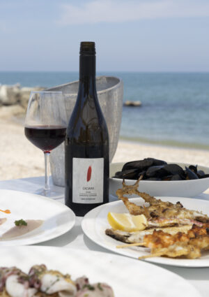 Innovare guardando al passato: la Rimini Doc punta sul &ldquo;Sangiovese brinato&rdquo;