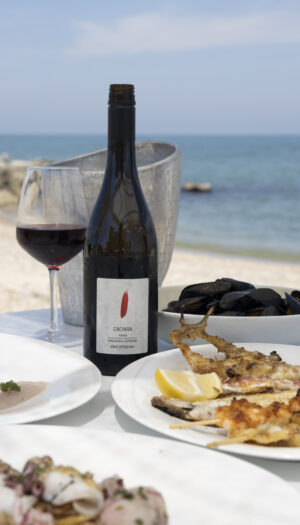Innovare guardando al passato: la Rimini Doc punta sul &ldquo;Sangiovese brinato&rdquo;