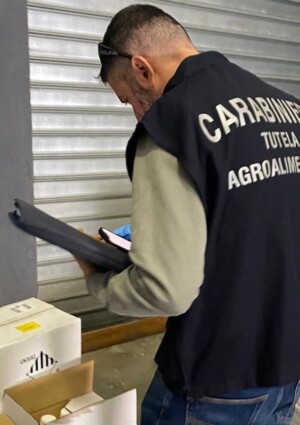 Sequestrate oltre 9,2 tonnellate di fitofarmaci illegali in tre regioni italiane