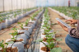 Lo &ldquo;smart farming&rdquo; diventa una priorit&agrave; globale per garantire la sicurezza alimentare