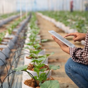 Lo &ldquo;smart farming&rdquo; diventa una priorit&agrave; globale per garantire la sicurezza alimentare